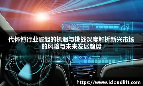 彩神代怀博行业崛起的机遇与挑战深度解析新兴市场的风险与未来发展趋势